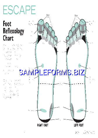 Reflexology Chart 2 pdf free